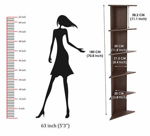 Cadlic Lifestyle Corner Shelf