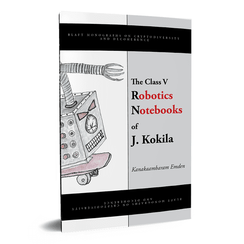 The Class V Robotics Notebooks of J. Kokila