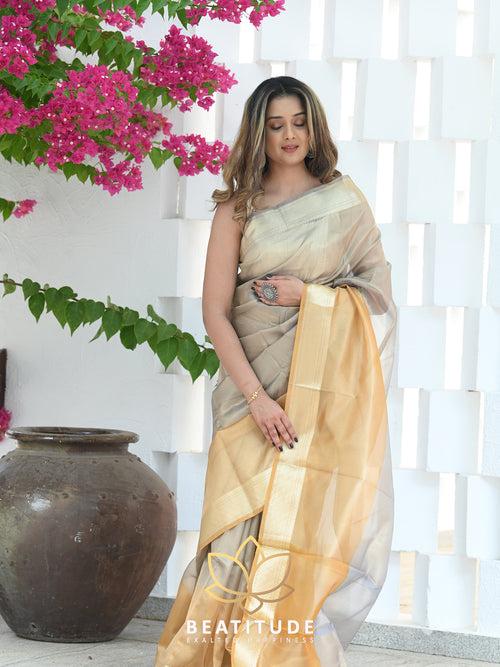 Multicolor Tissue Banarasi Saree