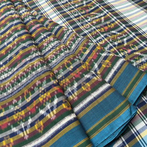 Paramatmika multicoloured cotton Patola Ikat saree