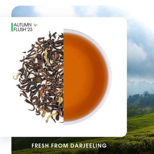 Darjeeling Giddapahar Autumn Chinary Black