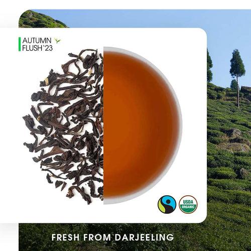 Darjeeling Seeyok  Autumn Chinary Black