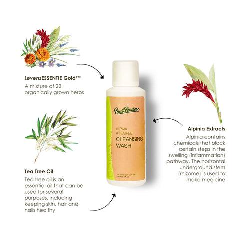 Alpinia & Teatree Cleansing Wash