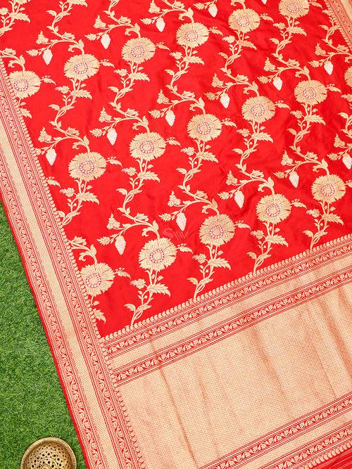 Red Jaal Katan Silk Handloom Banarasi Saree