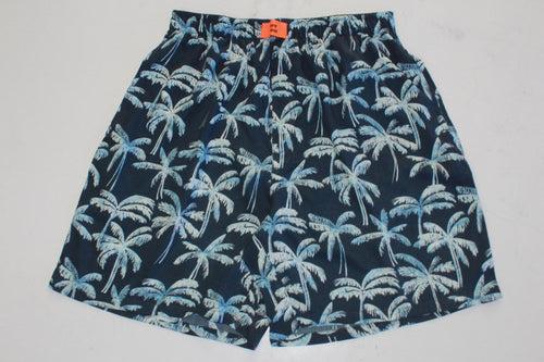 The Tropical Sky Leaf Printed Boxer