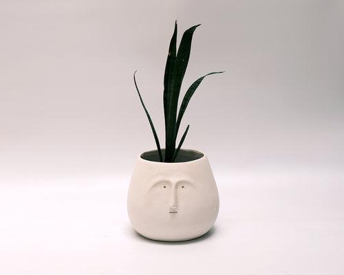 Highbrow Planter