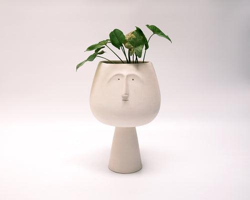 Highbrow Planter