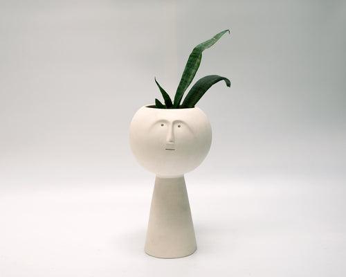 Highbrow Planter