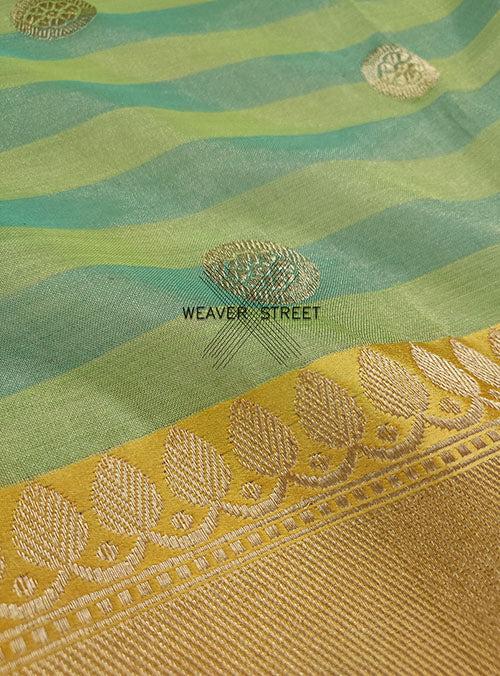 Green Cotton Tissue Handwoven Banarasi Saree with round kadwa buta