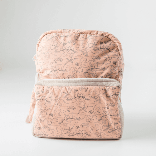 Dinosaur Park School Backpack (Toddler Bag)