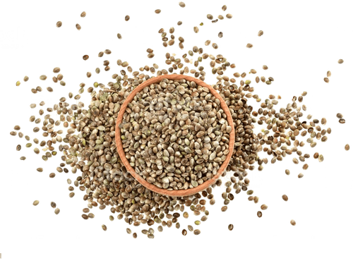 Hemp Seeds 250 Gms