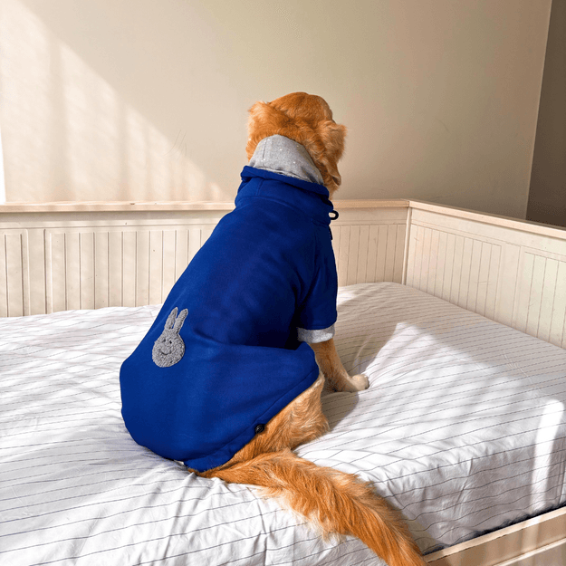 PoochMate Cobalt Blue Organic Cotton Fleece Dog Sweatshirt