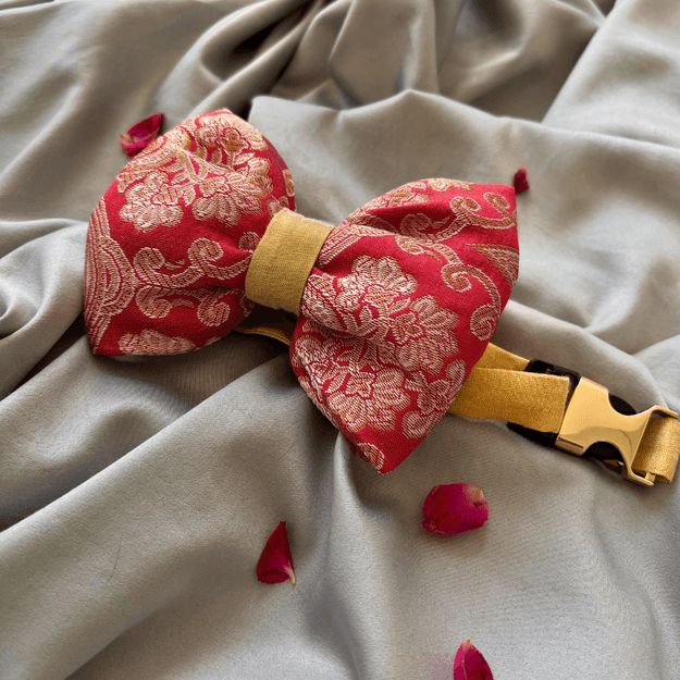 PoochMate Coral Brocade Dog Bow Tie