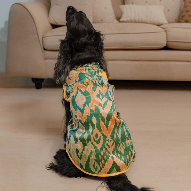 PoochMate Diwali Dog Sherwani: Green & Mustard