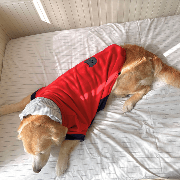 PoochMate Red-Blue Organic Cotton Dog Sweatshirt