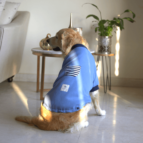 PoochMate Stone Blue Dog Sweatshirt