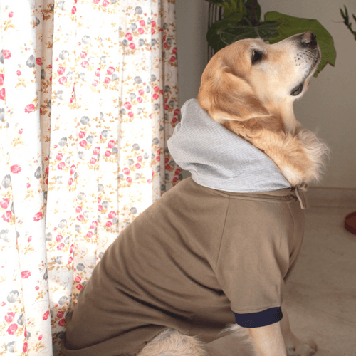 PoochMate Light Olive & Grey Striped Dog Sweatshirt