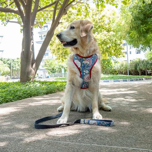 PoochMate X House of Ekam Pomegranate Dog Harness