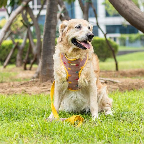 PoochMate X The Ikat Story : Onion Pink Ikat Dog Harness