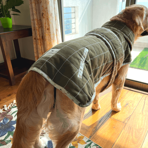 PoochMate Cambridge Quilted Dog Jacket : Olive