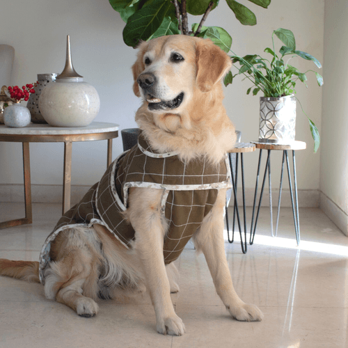 PoochMate Cambridge Quilted Dog Jacket : Olive