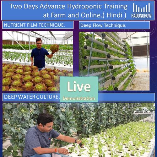 Two Days On-Site (Offline) & Online Hydroponic Training ( IN HINDI).