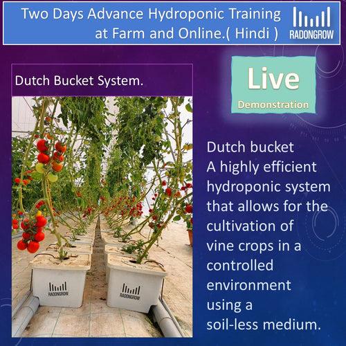 Two Days On-Site (Offline) & Online Hydroponic Training ( IN HINDI).