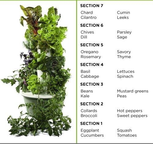 AEROTOWER-32 : Vertical Aeroponic Grow system for 32 Plants.