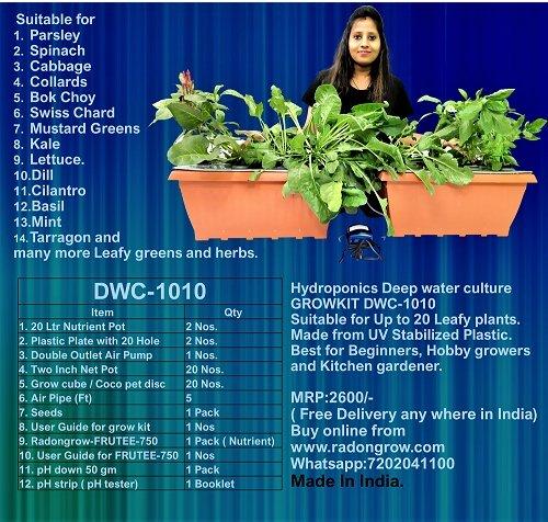 Hydroponic System ( Deep Water Culture ) for 20 Plants-DWC 1010