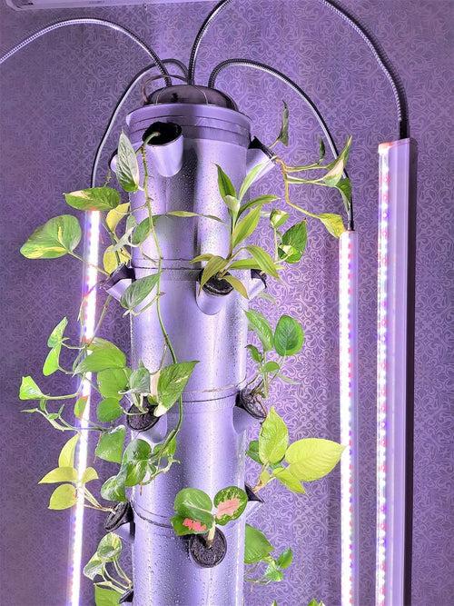 Indoor Aerotower-32 : Vertical Aeroponic grow kit for 32 plants with Grow light.