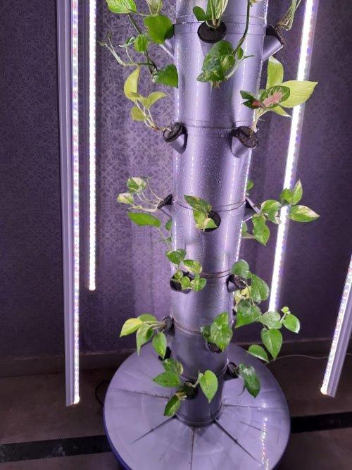 Indoor Aerotower-32 : Vertical Aeroponic grow kit for 32 plants with Grow light.