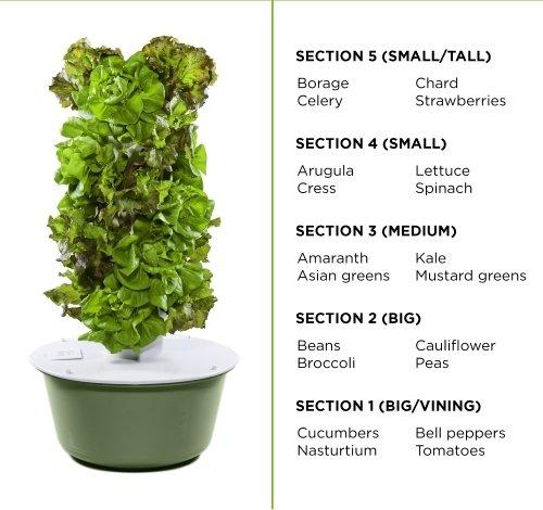 Indoor Aerotower-32 : Vertical Aeroponic grow kit for 32 plants with Grow light.