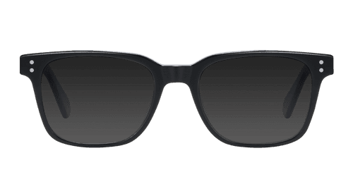 Dalton Sunglasses