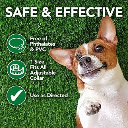 Flea & Tick Repellent Dog and Cat Collar