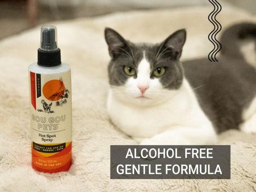 Hotspot Spray For Cats & Dogs - For Trauma & Wound Care