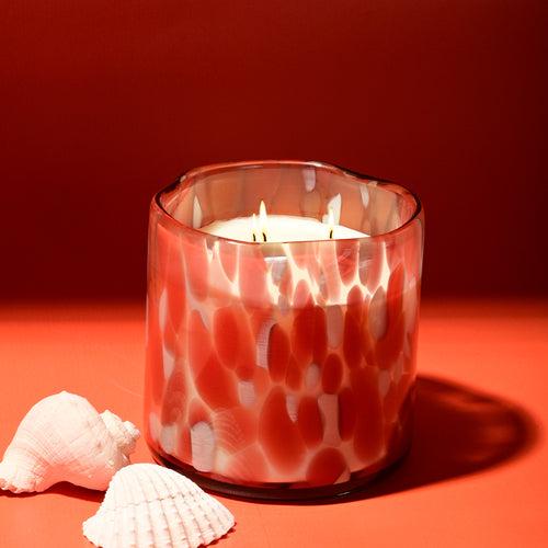 Firely Jar Scented Candle - Peach & Apricot Aroma