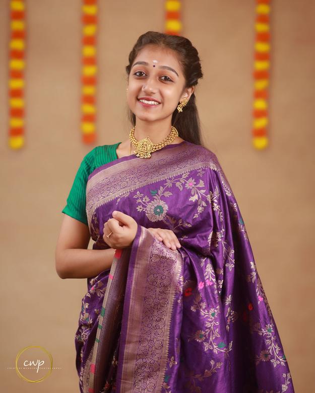 Purple Banarasi Saree With Silver Floral Motifs