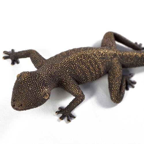 Gecko Bottle Opener