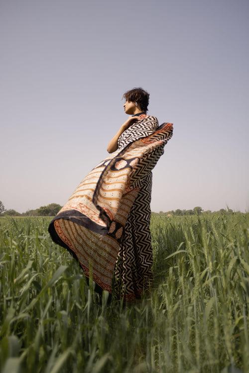 Roheda Chevron Syahi Begar Chanderi Saree