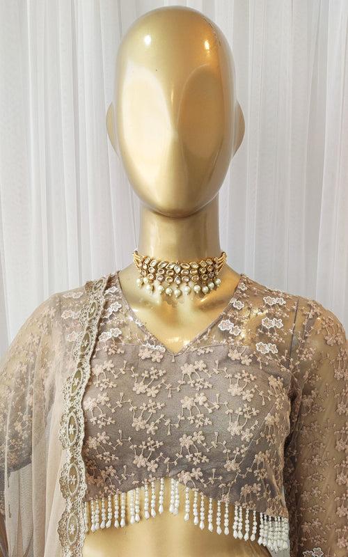 Taupe Lace & Pearl Work Georgette Lehenga