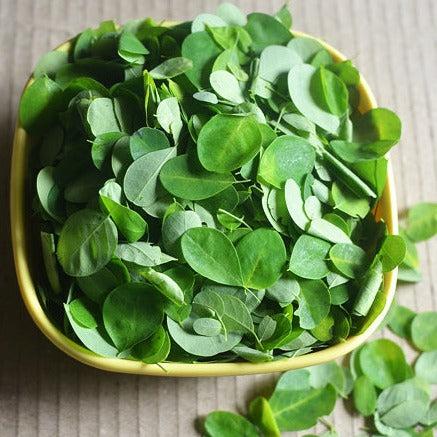 Drumstick leaves Vadagam முருங்கை கீரை வடகம்