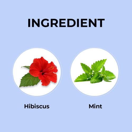 Hibiscus Mint Herbal Infusion - 60 Tea Bags