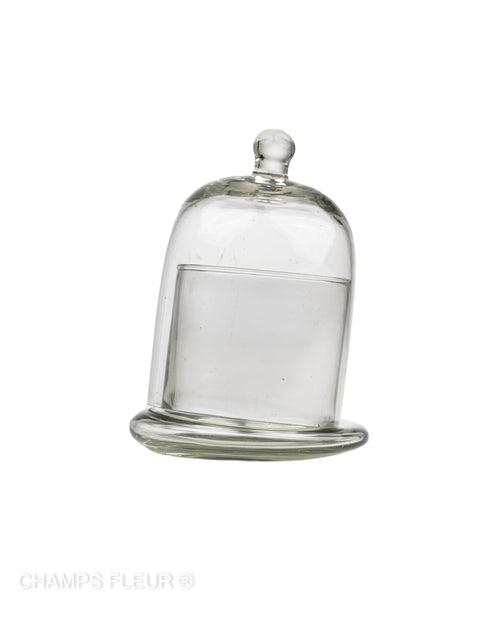 Glass Cloche