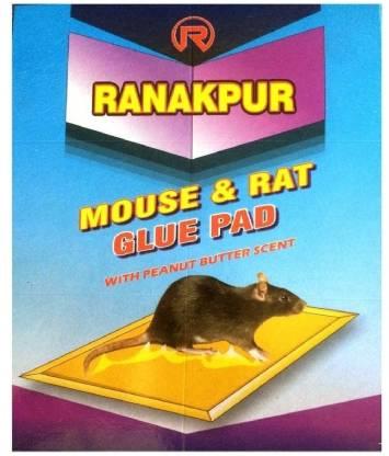 Ranakpur Mouse & Rat Trap with Peanut Butter Scent (Rat Catcher without Position) (34x12 Cm)