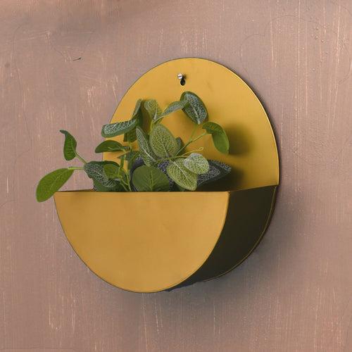 "Lunar" Hanging Metal Mounted Wall Planter / Letter Box in 4 Colours