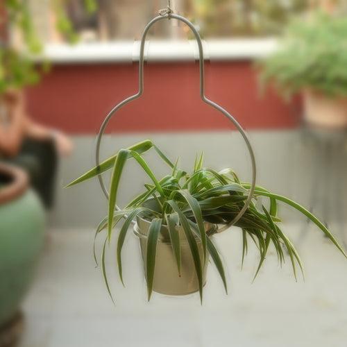 Bulb Shaped Metal Hanging Planter in White