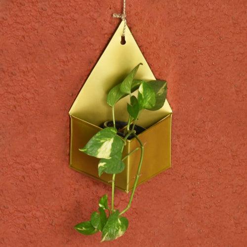 Diamond Hanging Metal Mounted Wall Planter / Letter Box in Matte Gold Finish