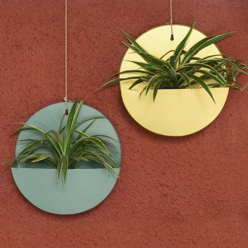 "Lunar" Hanging Metal Mounted Wall Planter / Letter Box in Fern Green