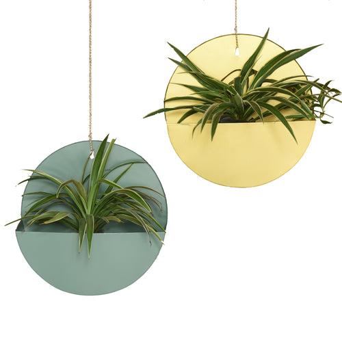 "Lunar" Hanging Metal Mounted Wall Planter / Letter Box in Fern Green