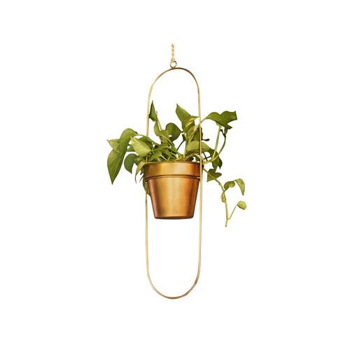 "Capsule" Oval Shaped Hanging Metal Planter in Gold Finish
